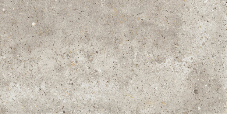 Плитка 30x60 Anima Beige Ret - Anima - PF60006060 з колекції Anima Ariana