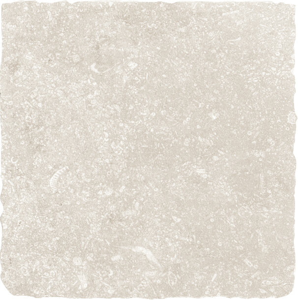 Плитка 20x20 Rue D. S. Cloud Blanc - Rue de St. Cloud - RUE2011 з колекції Rue de St. Cloud Ascot