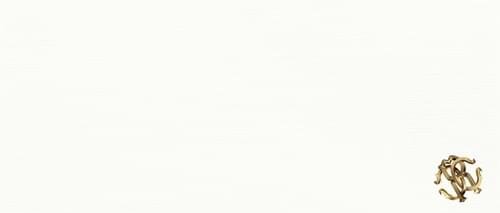 Декор Juta White Logo 32x75 Natural Roberto Cavalli з колекції Natural Roberto Cavalli