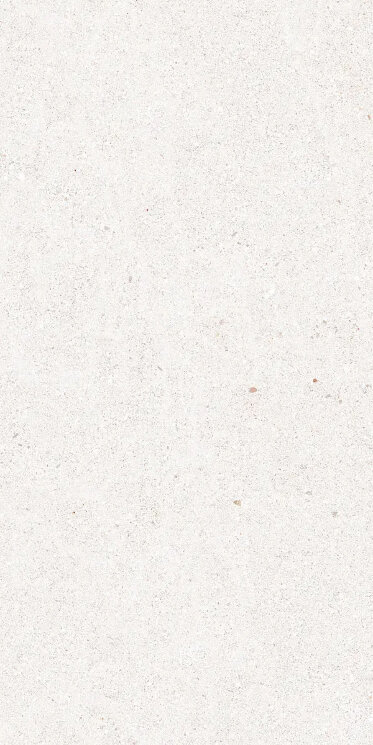 Плитка TERRE 3060 BIANCO RET PRO - 30x60 PF00023194 Terre з колекції Terre Abitare