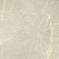 Плитка 60x60 Anthology01 White Natural Rt - Anthology - LGWAL15