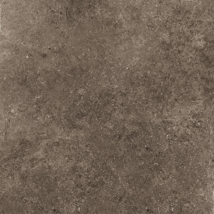Плитка (60x60) EGWSS25 Rare Dark Grip/Rtt - Secret Stone з колекції Secret Stone Cotto dEste