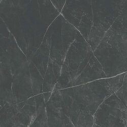 Плитка SPR MEMOR DARK STONE NAT R - 120x120 PF60012618 Supreme Memories