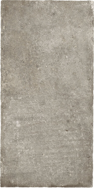 Плитка 50x100 Cendre Nt - Heritage - 592163 з колекції Heritage Ricchetti