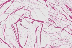 Плитка (60x60) AR6060MM MARBLE MAGENTA - Artwork