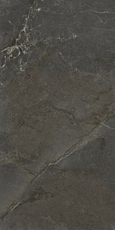 Плитка MITO SOVERAYA GRAFITE RT - 60x119.5 PMTPR4 Mito з колекції Mito Paul Ceramiche