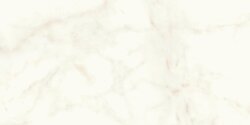 Плитка Marvel Shine Calacatta Delicato 60x120 Lappato A4Q0