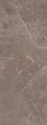 Плитка (45x120) 678.0003.037 Marble Tortora Shine Ret - Marble