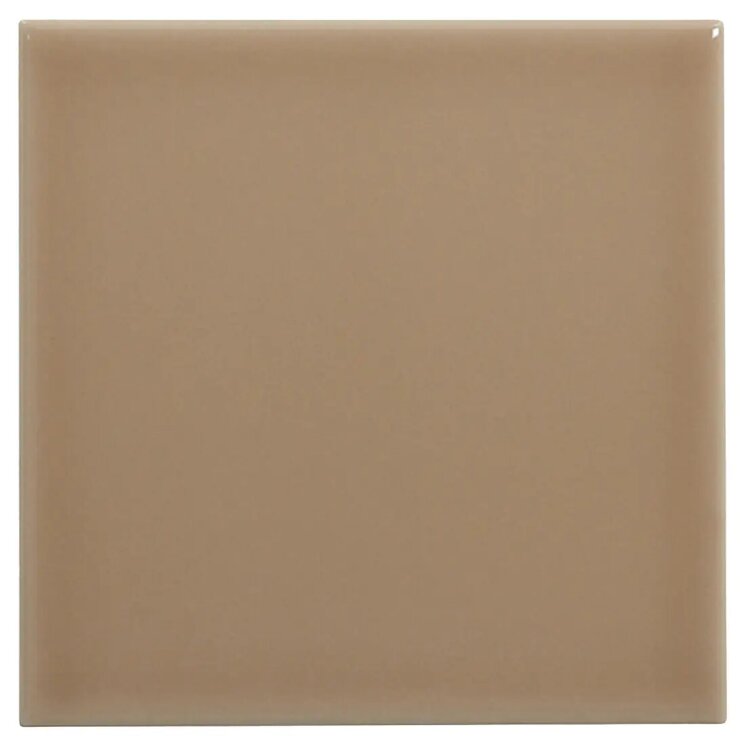 Плитка 10x10 Azulejo Liso Brillo Tierra Complementto 10х10 з колекції 10x10 Complementto