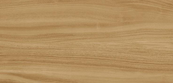 Плитка Ewood Camel Nature 120x250 XLight Urbatek з колекції XLight Urbatek
