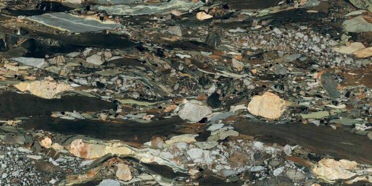 Плитка Les Quatre Saisons Glossy 120x280 Les Bijoux Rex з колекції Les Bijoux Rex