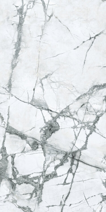 Плитка 60x120 Ae. Invis. Rt - Anima Ever - AEYH з колекції Anima Ever Caesar