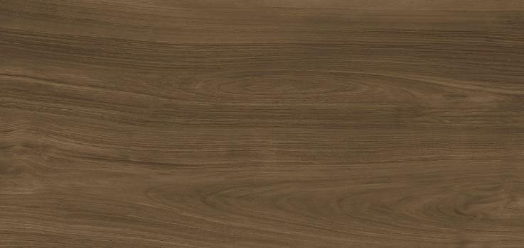 Плитка Ewood Honey Nature 120x250 XLight Urbatek з колекції XLight Urbatek Плитка Ewood Honey Nature 120x250 XLight Urbatek з колекції XLight Urbatek