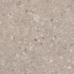 120x120 Mystone ceppo di gre greige   naturale rt M9EX