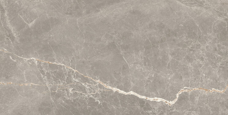 Плитка Livia Moka Silk 60X120 з колекції Livia Argenta Плитка Livia Moka Silk 60X120 з колекції Livia Argenta