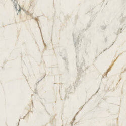 Плитка 120x120 Passion White Matt Paradyz Плитка 120x120 Passion White Matt Paradyz