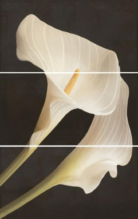 Панно Set 3 Tropical Blanco 31x60 Armonia Ape з колекції Armonia Ape