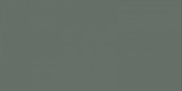 Плитка S Moss 6.2x12.5 Solid Wow з колекції Solid Wow
