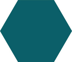 Плитка  - 14x16 HEXA 12M Hexa Matt
