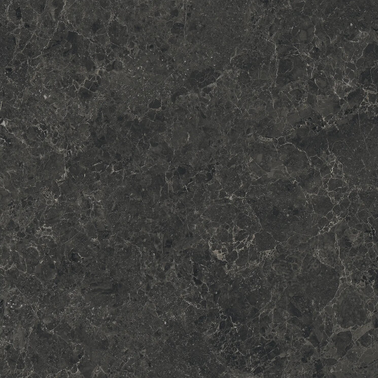 Плитка Limestone Belgium Black Nat Ret - 60x60 5503 Limestone з колекції Limestone Piemme