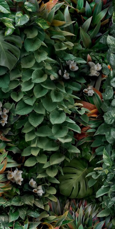 Плитка 50x100 PG9GM9C GreenwallC Panaria Zero.3 Glam з колекції Zero.3 Glam Panaria