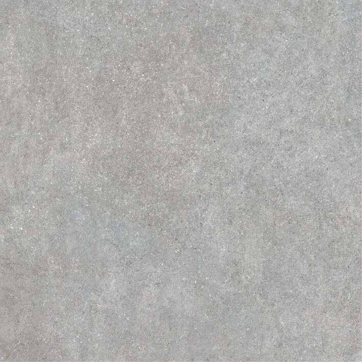 Плитка (60x60) 215872 Neolitick Grey - Neolitick з колекції Neolitick Colorker