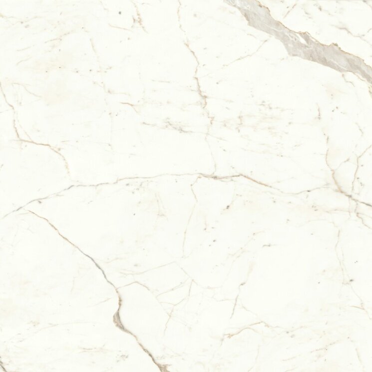 Плитка Marvel Shine Calacatta Prestigio 160x160 Lappato A4RP з колекції Marvel Shine Atlas Concorde