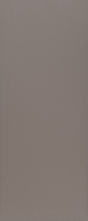 Плитка 20x50,2 D2 P Brun Taupe 03 - Design 2 Positive з колекції Design 2 Positive Gambini