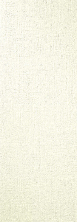 Плитка (35x100) 635.0029.001 Essentia Crusty White Ret - Essentia з колекції Essentia Love Tiles