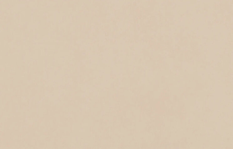 Плитка Peach - 27x42 R2786 Mellow з колекції Mellow Aleluia