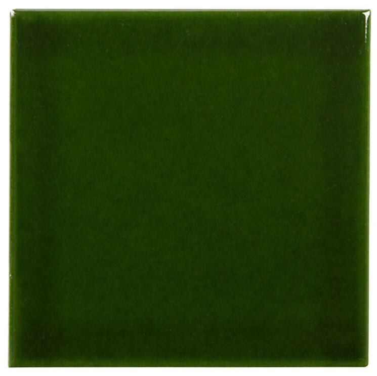 Плитка 10x10 Azulejo Liso Brillo Verde victoriano Complementto 10х10 з колекції 10x10 Complementto