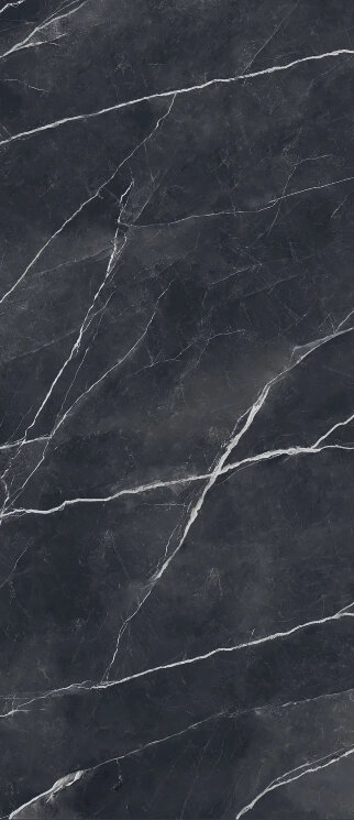 Плитка NERO ANTICO HONED - 120x278 17570027 Marmora з колекції Marmora Casalgrande Padana