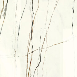 Плитка Lichen Rainforest Lappato - 60x60 156622 Lichen