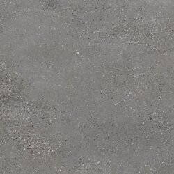 Плитка 60x60 Iron R - Mold - MX64