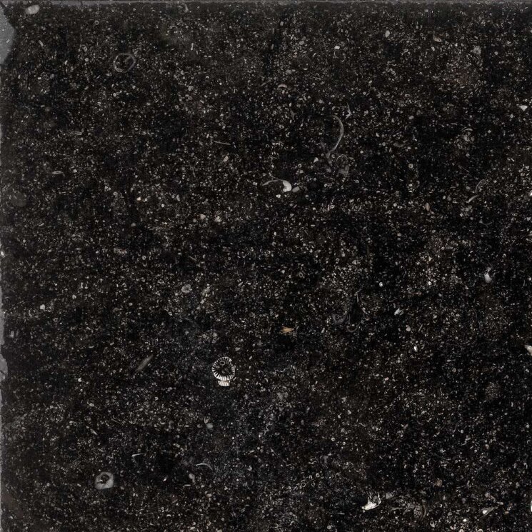 Плитка (30.5x30.5) Bluebelge Ant Cerato Q/CE30.5 - Anticato Cerato з колекції Anticato Cerato Petra Antiqua