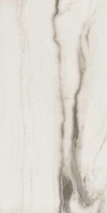 Плитка 160x320 Prexious Rex White Fantasy 6 Mm Matte R - Prexious of Rex - 756418 з колекції Prexious of Rex Rex