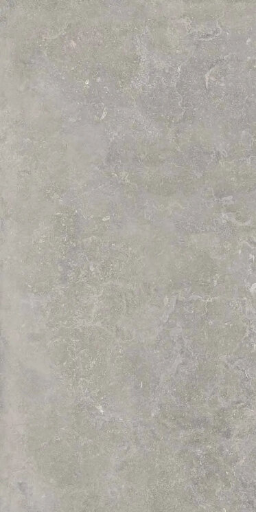 Плитка MEMENTO BRUGE GREY ANT R - 60x120 PF60012320 Memento з колекції Memento Ariana