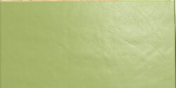 Плитка 30x60 Arch. Acid Green Gloss10,5 Mm - Architecture - 3796412