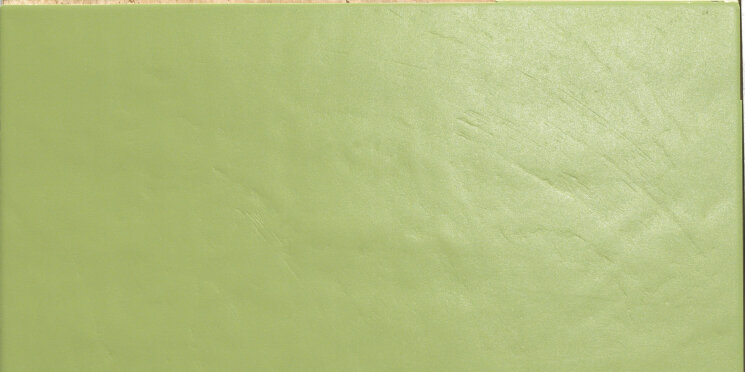 Плитка 30x60 Arch. Acid Green Gloss10,5 Mm - Architecture - 3796412 з колекції Architecture Casalgrande Padana Плитка 30x60 Arch. Acid Green Gloss10,5 Mm - Architecture - 3796412 з колекції Architecture Casalgrande Padana