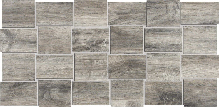 Декор (24.3x49.5) FCI04 Focus Grey Intreccio - Focus з колекції Focus Ascot