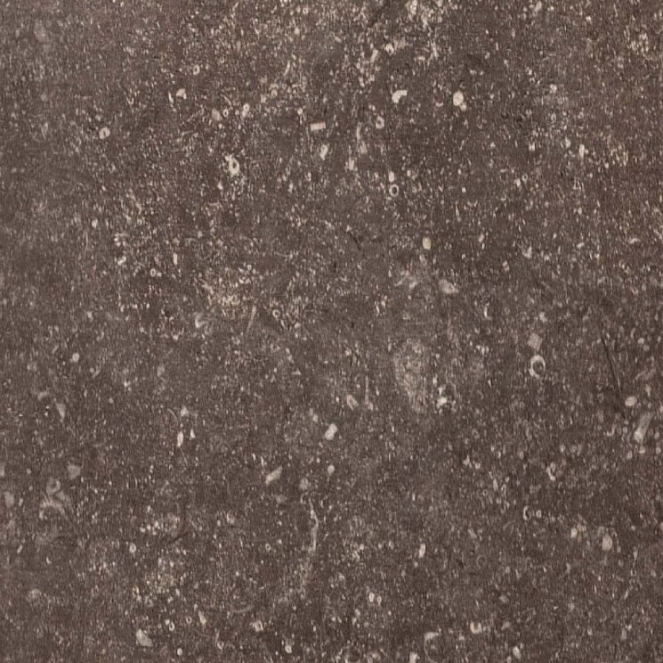 Плитка (80x80) 735326 Fango Ant. Nat. - Pietra Del Nord з колекції Pietra Del Nord Rex Плитка (80x80) 735326 Fango Ant. Nat. - Pietra Del Nord з колекції Pietra Del Nord Rex