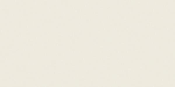 Плитка White Natural 50x100 Black And White Kerlite з колекції Black And White Kerlite