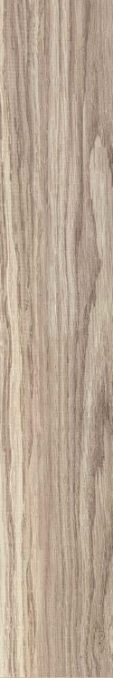 Плитка (20x120) 741875 Wooden Almond - Wooden Tile з колекції Wooden Tile Casa Dolce Casa