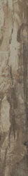 Плитка (16x99.5) PO1660RL Petrified Wood Brown Rett/Lapp - Petrified Wood