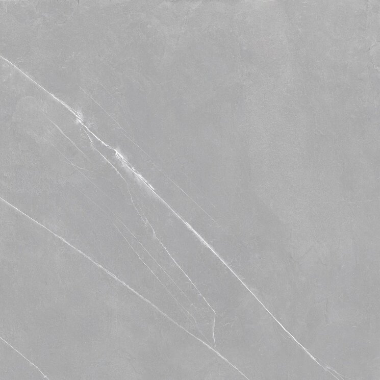 Плитка 60x60 5325 Blake Veined Grigio Ret Dom Ceramiche Blake з колекції Blake Dom Ceramiche