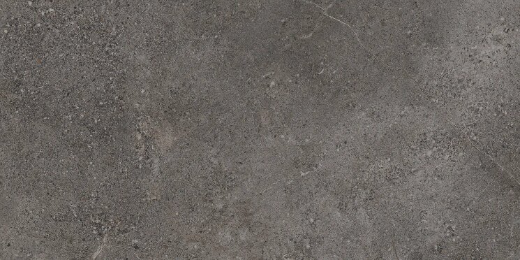 Плитка 44.3x88.8 P9148R Stone age antracite natural ret Aleluia Stone Age з колекції Stone Age Aleluia
