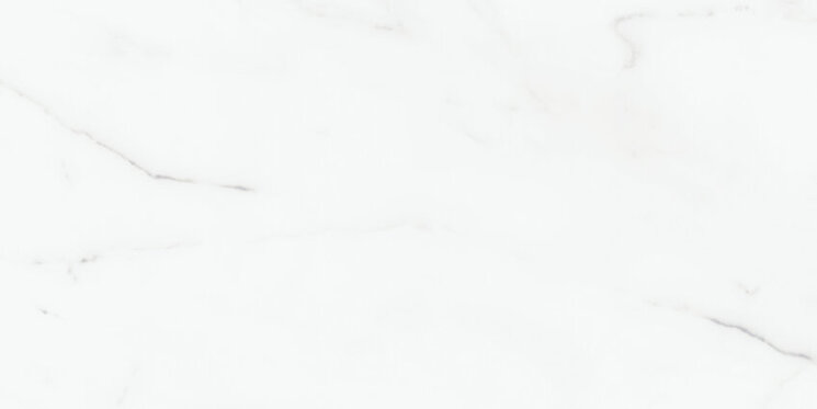 Керамограніт Status Pulido Rect. 60x120  з колекції Status Benadresa