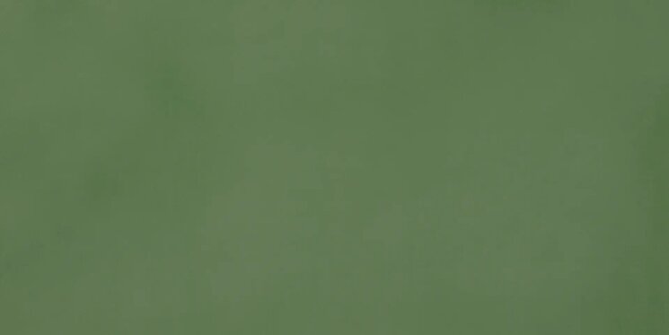 Плитка 30x60 11830034 R-Evolution Green 10Mm Casalgrande Padana R-Evolution з колекції R-Evolution Casalgrande Padana