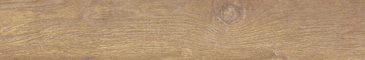 Плитка 20x120 2N63 Patin Brown Antislip Edimax Astor W3 з колекції W3 EdimaxAstor Плитка 20x120 2N63 Patin Brown Antislip Edimax Astor W3 з колекції W3 EdimaxAstor