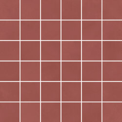 Мозаїка 30x30 Cl10 Grace Mosaico 36 T Sp - Clay - AMZ3